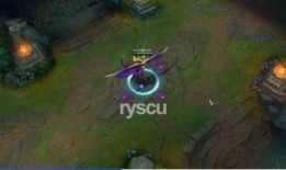 巴西老哥爆料視頻最新,最新爆料視頻背后的驚人真相