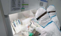 長春冠肺炎最新爆料,疫情新動向與防控措施詳解