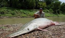 鱷雀鱔最新爆料新聞報(bào)道,最新爆料揭示潛在生態(tài)危機(jī)