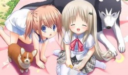 十八禁動(dòng)畫在線觀看,十八禁動(dòng)畫的神秘世界