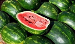 哪個(gè)平臺(tái)能免費(fèi)吃瓜,暢享娛樂(lè)盛宴的秘密通道