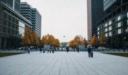 東安大頭爆料最新消息,揭秘娛樂圈驚人內(nèi)幕