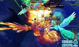 女媧寵物爆料視頻大全,揭秘神秘寵物背后的故事