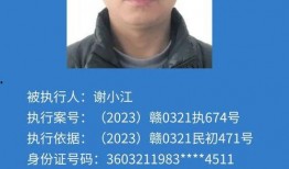 蓮花縣今日爆料電話,揭秘熱線電話背后的故事