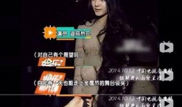 金鷹女生爆料視頻,揭秘幕后故事與幕后英雄