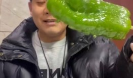 臺(tái)灣健身網(wǎng)紅吃瓜圖片,身材與美食的完美平衡