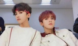 嚴(yán)浩翔戀情爆料最新消息,神秘女友身份揭曉，細(xì)節(jié)揭秘引熱議