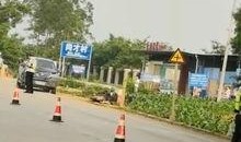 武鳴里建爆料新聞,揭秘背后驚人真相