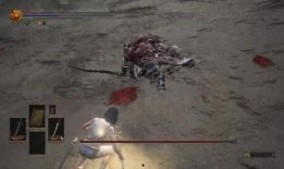 黑龍爆料假拳視頻大全集,假拳視頻大全集深度剖析