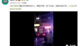 黑石采訪爆料視頻大全,揭秘行業(yè)巨頭背后的故事與策略