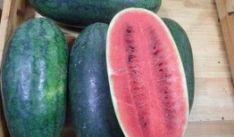 即墨網(wǎng)紅吃瓜事件真相是真的嗎,真相揭秘，還原事件始末