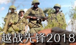 在線觀看越戰(zhàn)先鋒,揭秘戰(zhàn)場英雄的傳奇征程