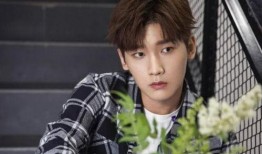 嚴(yán)浩翔戀情爆料最新消息,神秘女友身份揭曉，細(xì)節(jié)揭秘引熱議