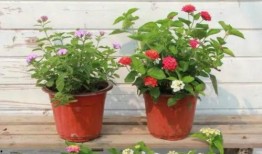 重慶倉(cāng)庫(kù)爆料事件視頻最新,揭秘倉(cāng)庫(kù)內(nèi)幕引發(fā)社會(huì)關(guān)注