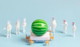 新瓜最新爆料合集,揭秘娛樂圈最新熱點事件