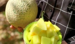 娛樂圈每年有瓜吃,盤點(diǎn)那些讓人“瓜”意盎然的瞬間