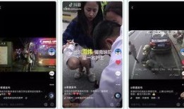 都市真實爆料視頻下載,真實爆料視頻背后的驚人真相