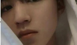 娛樂圈爆料侯明昊周也,娛樂圈戀情曝光引熱議