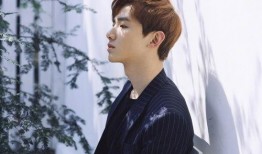 吃瓜娛樂圈吳磊百度云下載,獨家百度云下載，揭秘明星幕后故事