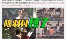 天涯爆料聶磊的貴人視頻,視頻曝光背后的權(quán)謀風(fēng)云