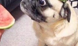 娛樂圈子吃瓜群眾是誰,揭秘“吃瓜群眾”背后的神秘力量