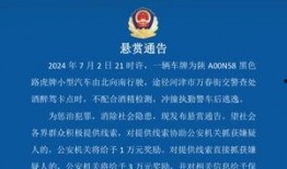 河津最新爆料消息新聞,揭秘重大新聞事件背后真相