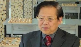 胡司令爆料王嘉良視頻,揭秘背后驚人內(nèi)幕