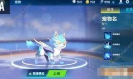 飛車手游最新寵物爆料