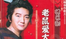 娛樂圈爆料歌曲有哪些歌,揭秘明星私生活背后的旋律