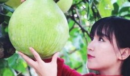 黑料吃瓜爆料網紅一區(qū),黑料吃瓜背后的真相與內幕