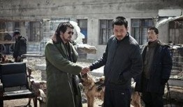 黃海在線觀看,揭秘海上絲綢之路的璀璨明珠