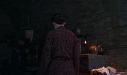 白鹿原59集在線觀看,命運轉折，真相揭曉