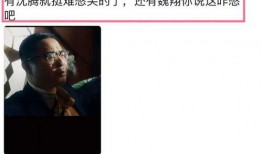 張藝謀大舅哥爆料視頻,導(dǎo)演背后的家庭故事與幕后真相