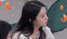 鵬哥爆料盈公主的視頻全集,盈公主視頻全集背后的驚人真相