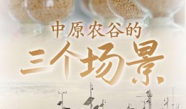中原農(nóng)谷爆料視頻,視頻爆料帶你探秘農(nóng)業(yè)科技新篇章