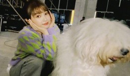 娛樂圈最新爆料虞書欣,娛樂圈再掀波瀾！