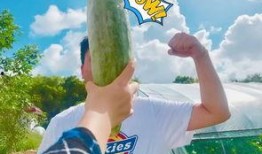 一起吃瓜網(wǎng)紅,揭秘娛樂圈背后的秘密與真相