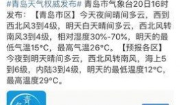 周口一高爆料事件最新,真相與爭議交織，校園風(fēng)波再起