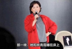 甄妮爆料最新消息是真的嗎,真相揭秘，是真是假引熱議