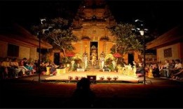 海王宮老板爆料視頻大全,視頻大全背后的驚人真相