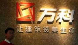 北峰萬(wàn)科爆料事件視頻,揭露背后驚人真相