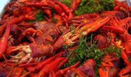 爆料戶外小龍蝦視頻播放,視頻曝光烹飪?nèi)^程，網(wǎng)友直呼過癮！