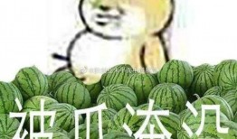 黑料吃瓜爆料網紅一區(qū),黑料吃瓜背后的真相與內幕