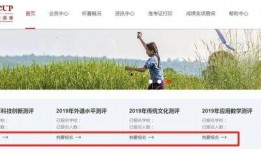 鵬程最新消息爆料,揭秘行業(yè)動(dòng)態(tài)，洞察未來(lái)趨勢(shì)