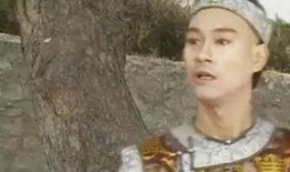 戲說乾隆高清在線觀看,穿越時(shí)空的傳奇皇帝高清在線觀看之旅