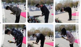 陳佳琪最新動(dòng)態(tài)爆料,揭秘娛樂(lè)圈背后的驚人真相！